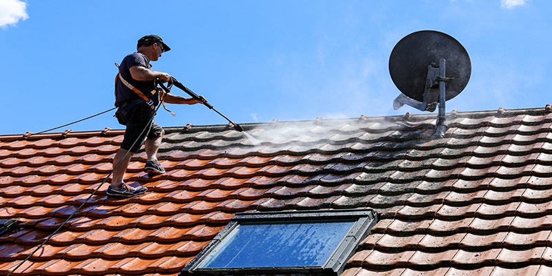 Mould Removal